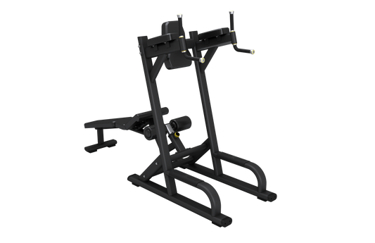 アブドミナル＆ニーアップ/ディップ　PL35FF