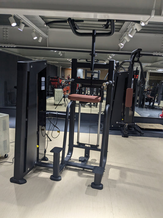 ディップアシスト・チンアシスト